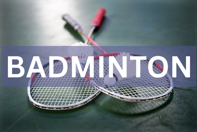 Bild zur Auswahl der Badmintonkategorie
