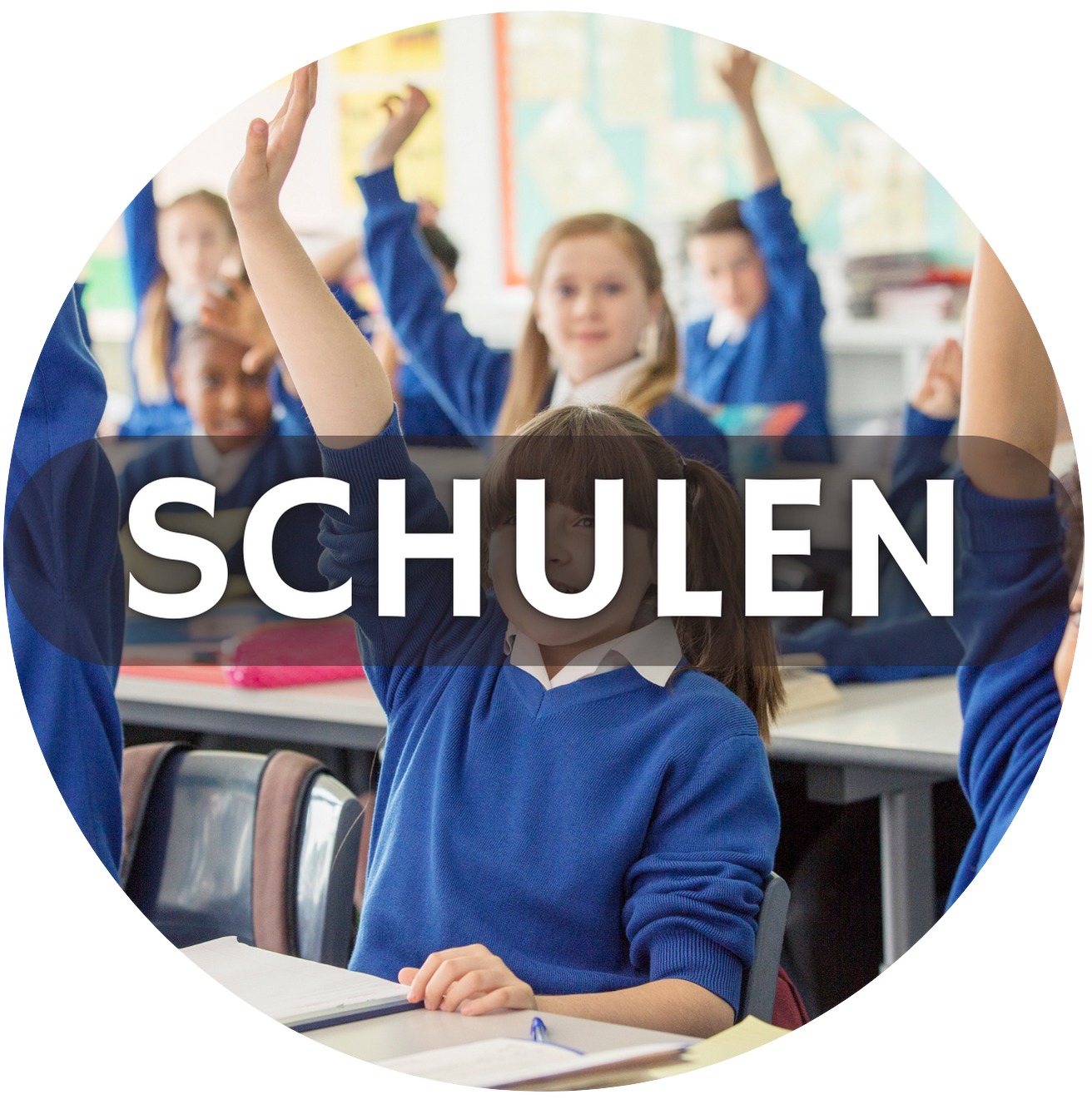 Schulen category icon/image