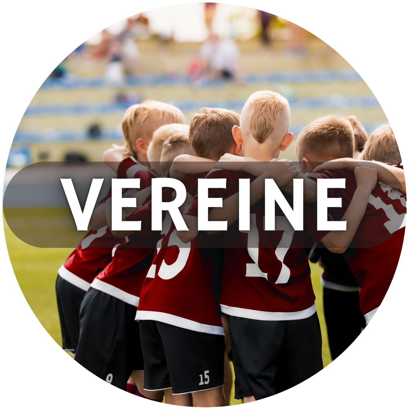 Vereine category icon/image